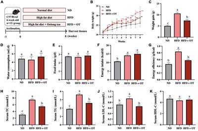 Polyphenol-rich oolong tea alleviates obesity and modulates gut microbiota in high-fat diet-fed mice